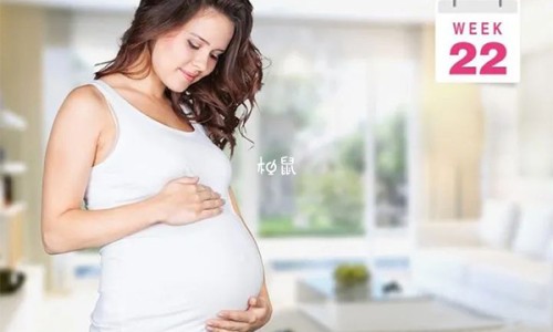 孕妇补铁吃什么食物最好最快-【孕妇补铁最佳食物】孕妇补铁吃什么食物最好最快 - 孕妇补铁要多吃什么食物网
