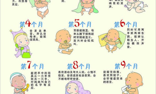 孕妇补铁的食物和水果-【孕妇补铁最佳食物】孕妇补铁吃什么食物最好最快 - 孕妇补铁要多吃什么食物网