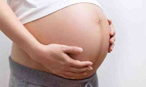 孕妇补铁食物有哪些-【孕妇补铁最佳食物】孕妇补铁吃什么食物最好最快 - 孕妇补铁要多吃什么食物网